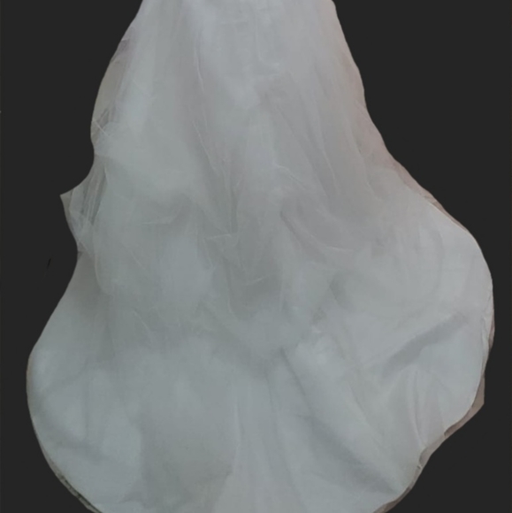 Demetrio's Wedding Dress / Gown - Picture 8 of 9